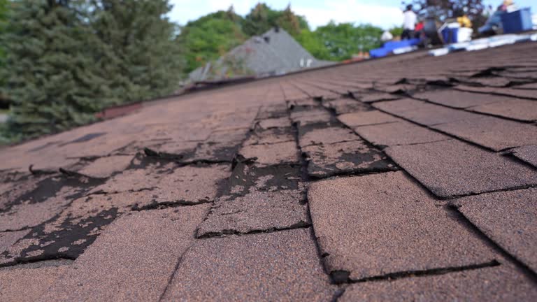 Best Storm Damage Roof Repair  in Great Bend, NY